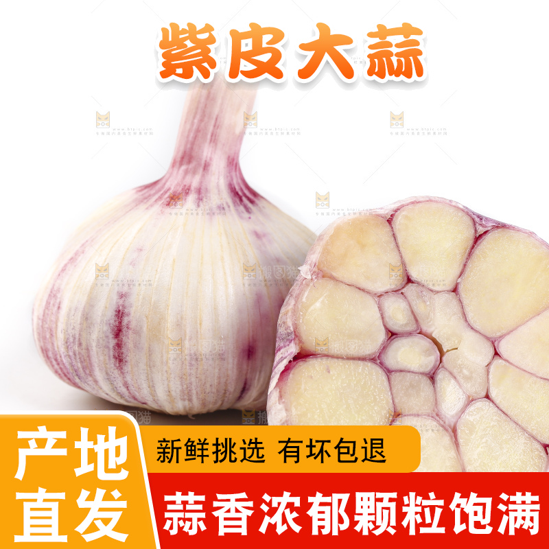 白底上放着新鲜紫皮大蒜头