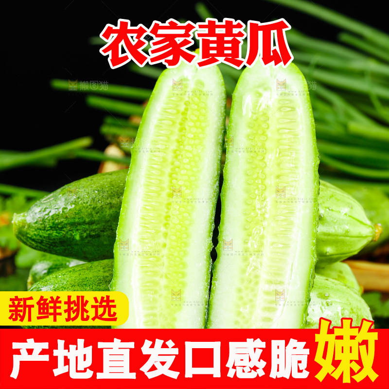 黑底上放着黄瓜