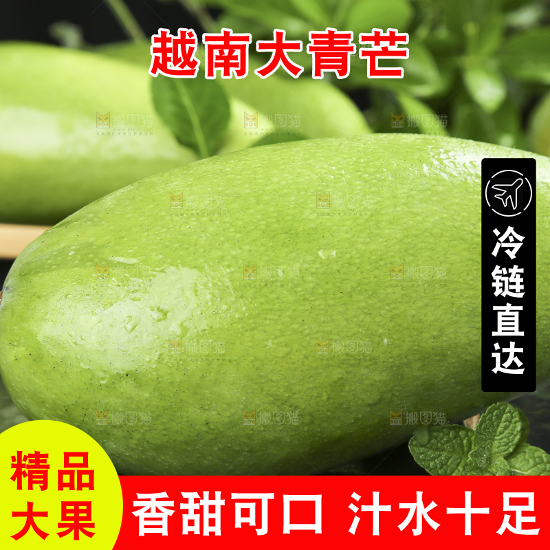 黑底上放着越南大青芒