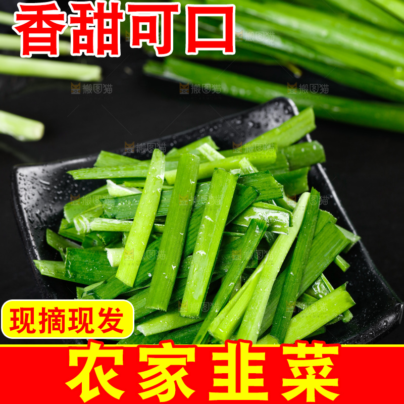 黑石板上的韭菜