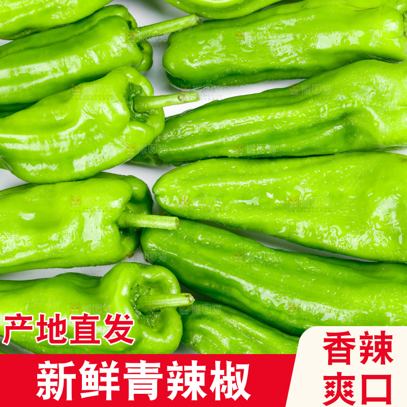 一堆新鲜的青辣椒