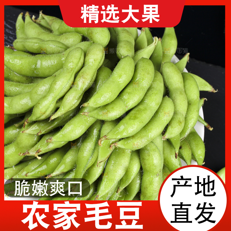 黑底上放着一盘毛豆