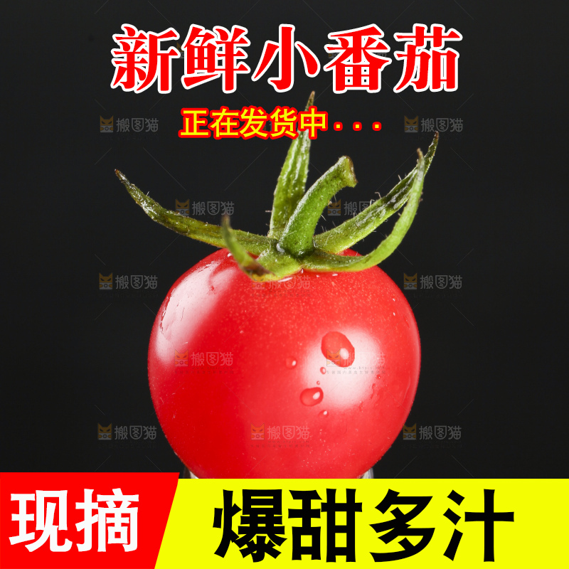 叉子叉着新鲜小番茄