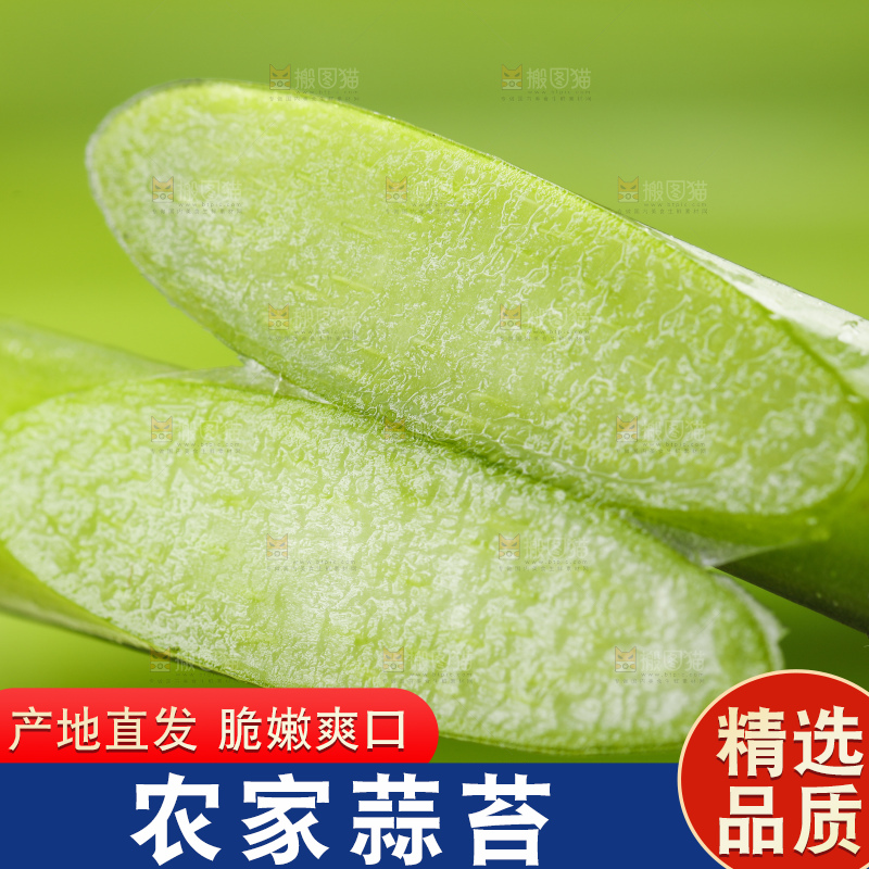 黑底上放着新鲜蒜苔