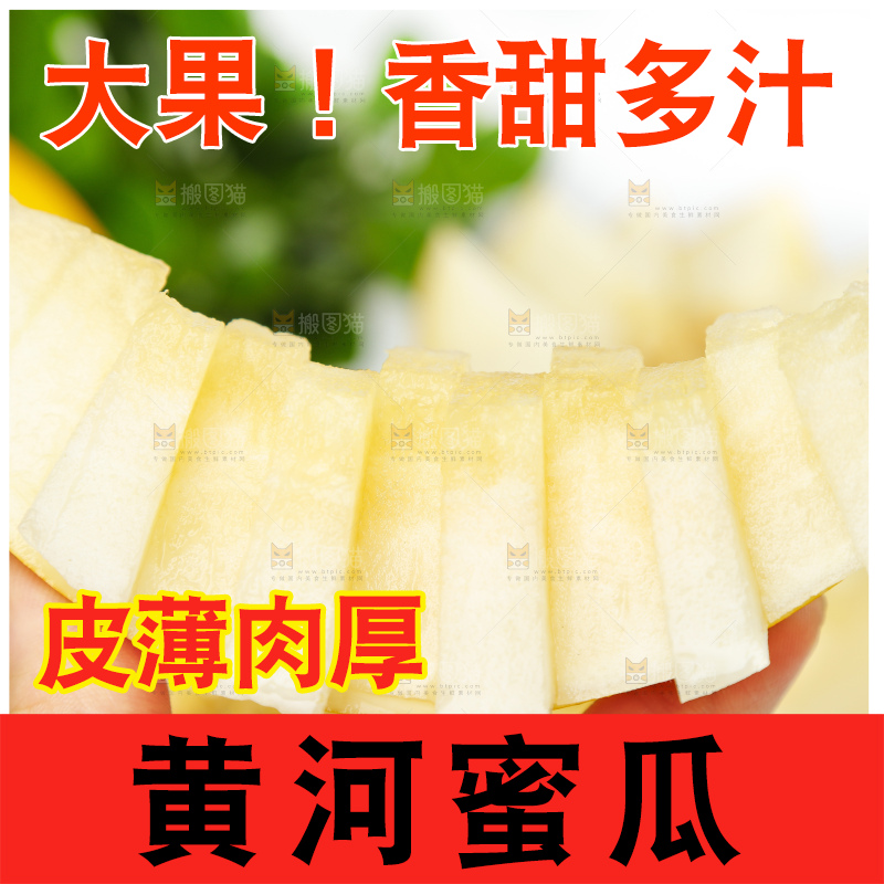 手拿切开的陕西黄河蜜瓜