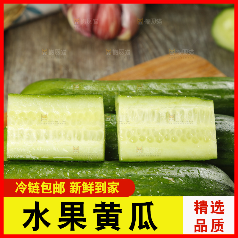 新鲜的山东水果黄瓜放在木板上