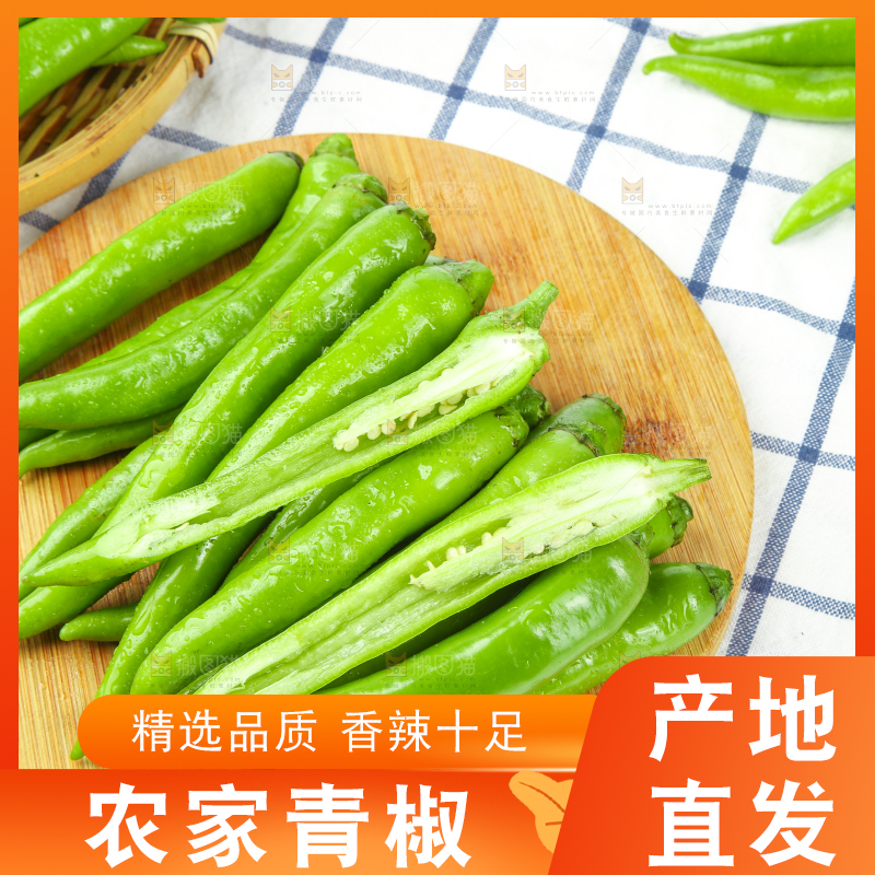 格子底上放着青杭椒