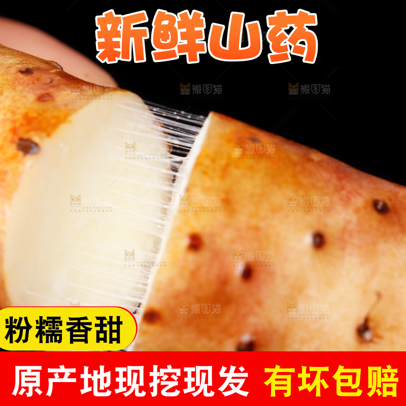 手里拿着小白嘴山药
