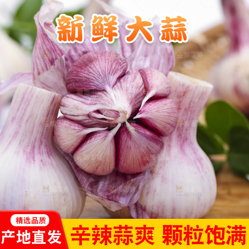 木底上放着新鲜云南紫皮大蒜