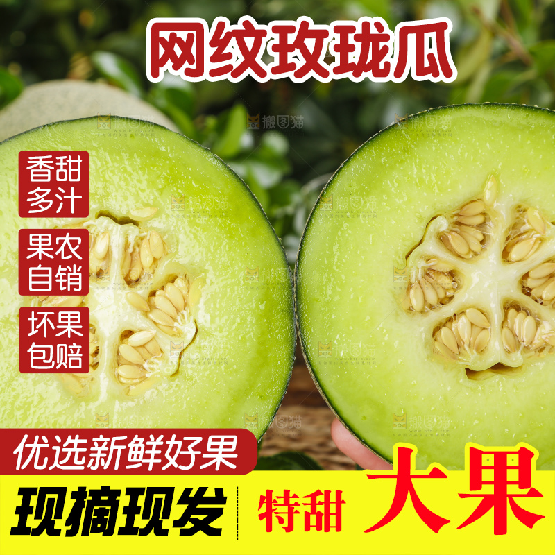 手拿切开的海南网纹蜜瓜