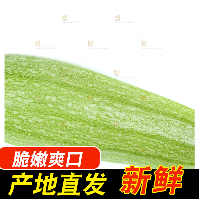 白底上摆放着茭瓜