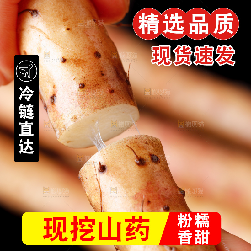 手里拿着小白嘴山药