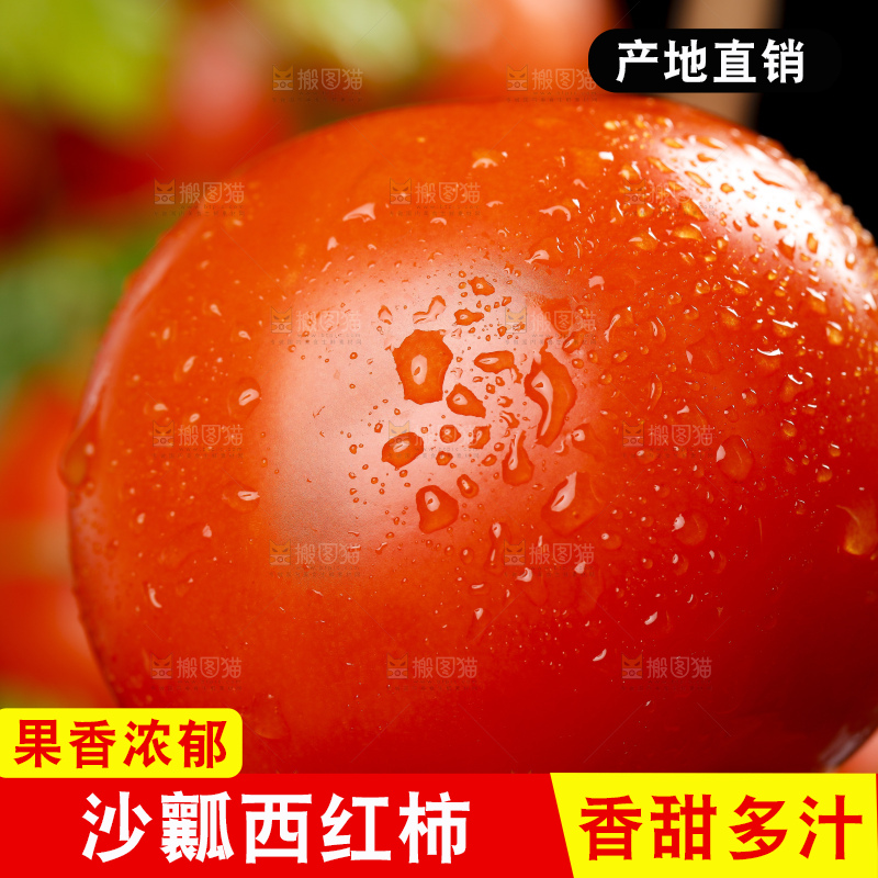 深底上摆放着番茄