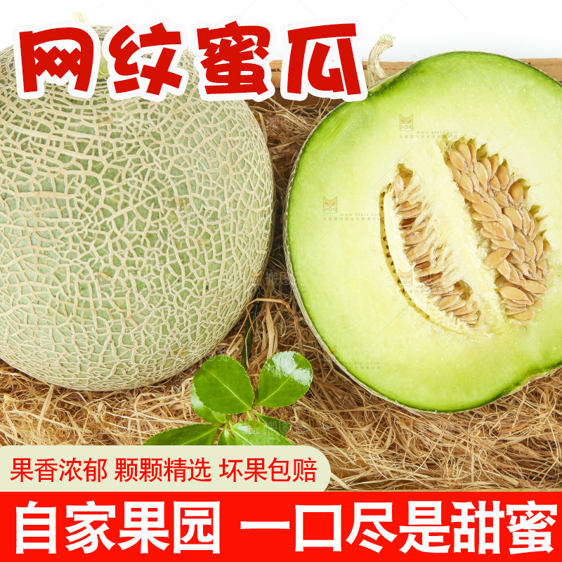 白底上放着新鲜玫珑网纹蜜瓜