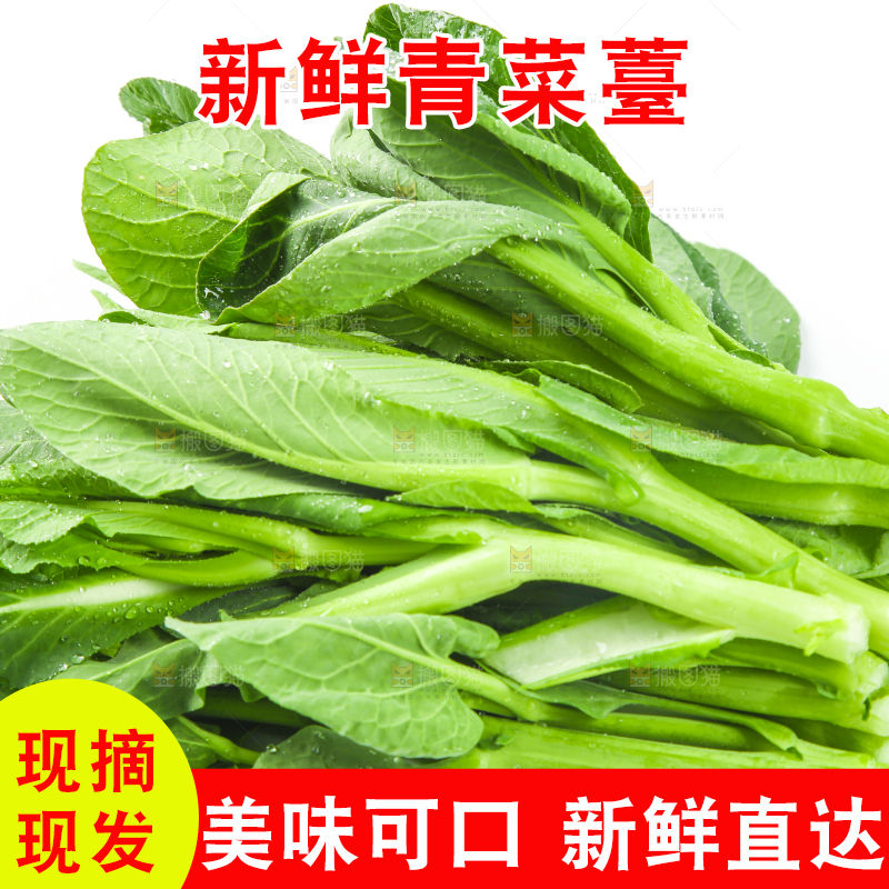 白底上的菜薹