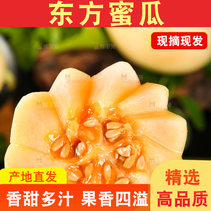 手拿切开的山东东方蜜瓜