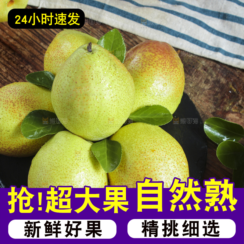 黑石板上放着新鲜小香梨