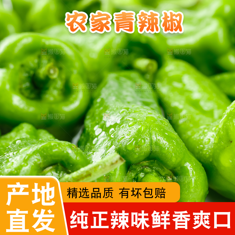 一堆新鲜的青辣椒