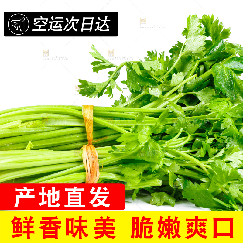 白底上放着芹菜