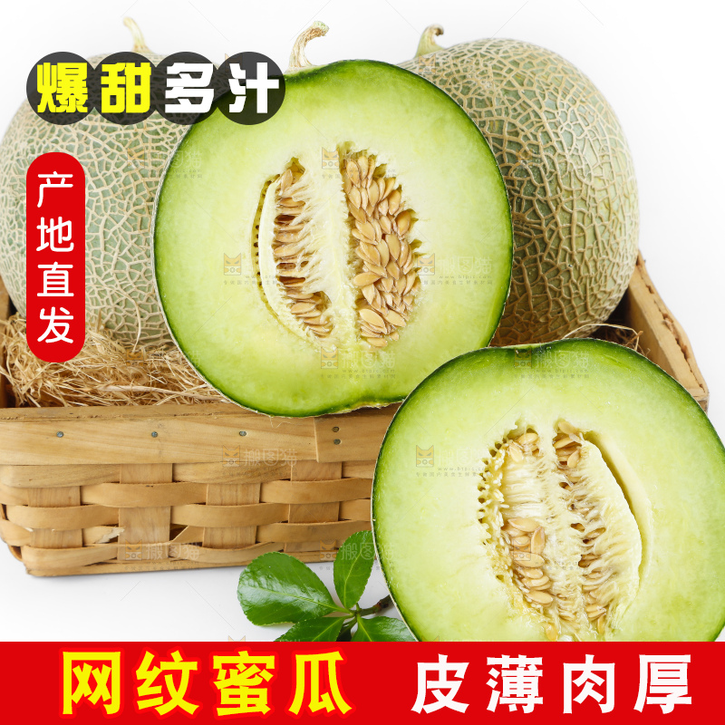 白底上放着新鲜网纹瓜