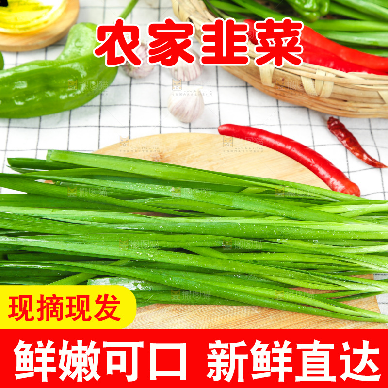 格子底上的鲜嫩韭菜