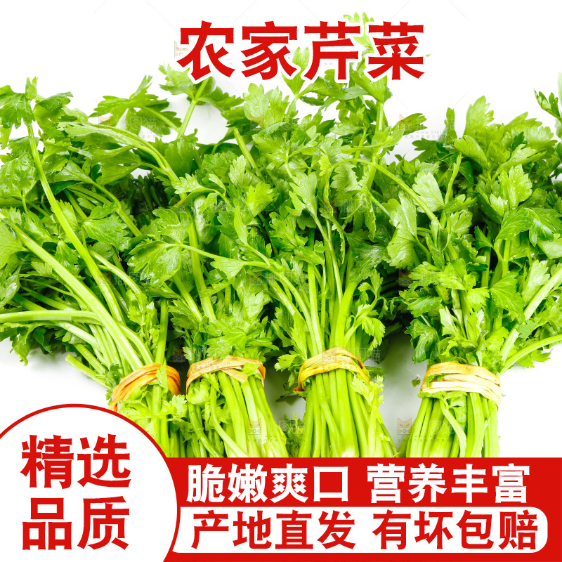 白底上放着芹菜