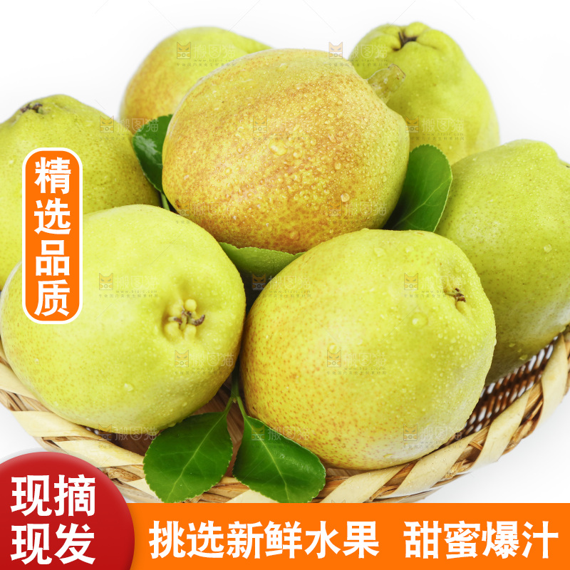 白底上放着一筐小香梨
