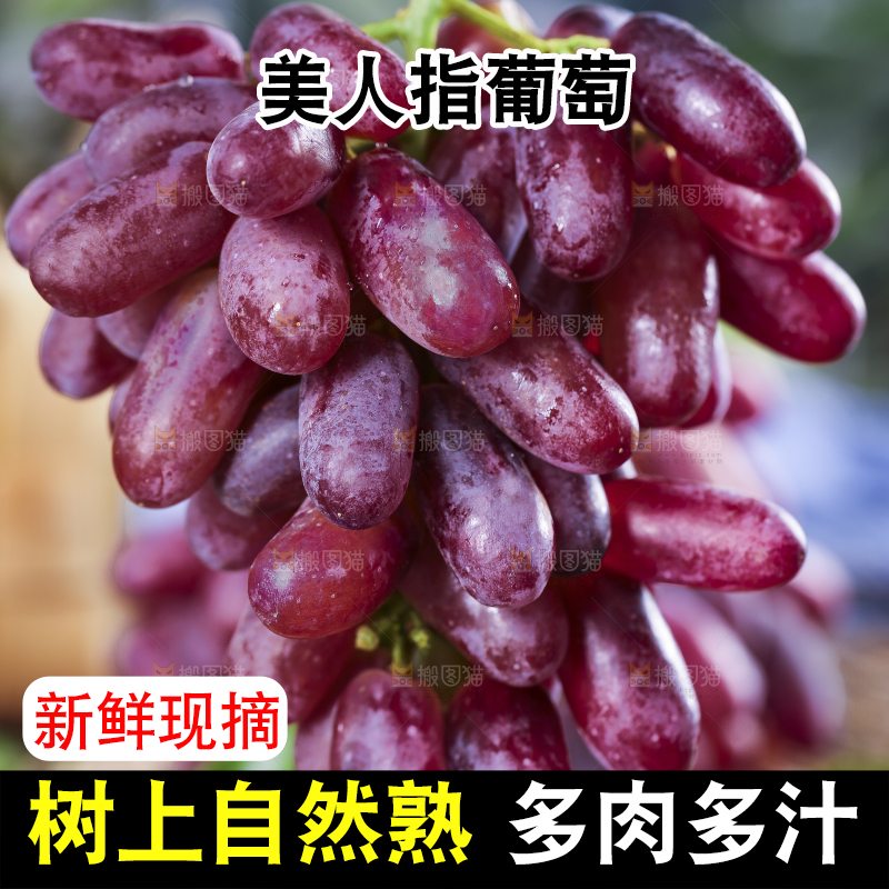 手提着美人指葡萄