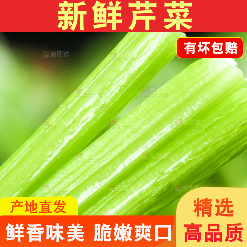 黑底上放着小芹菜