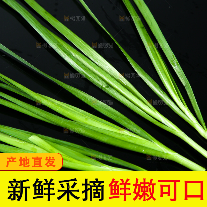 黑底上堆放着韭菜
