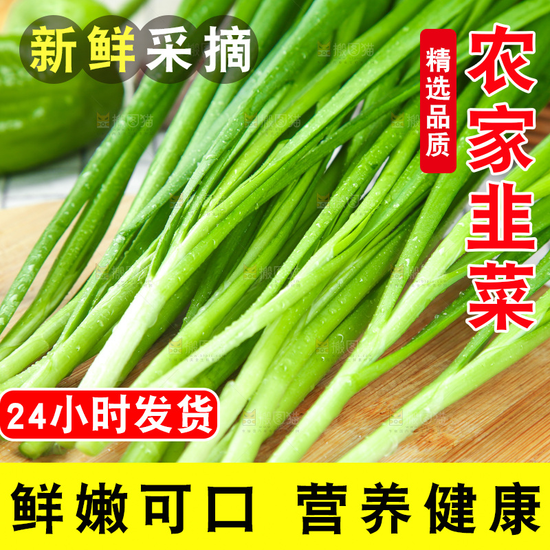 格子底上的鲜嫩韭菜