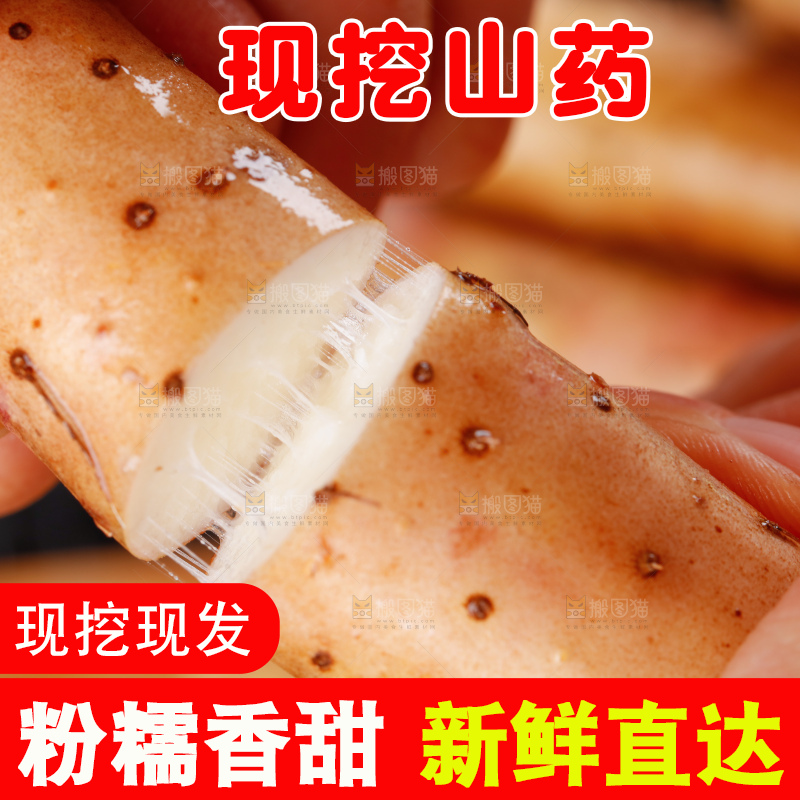 手里拿着小白嘴山药