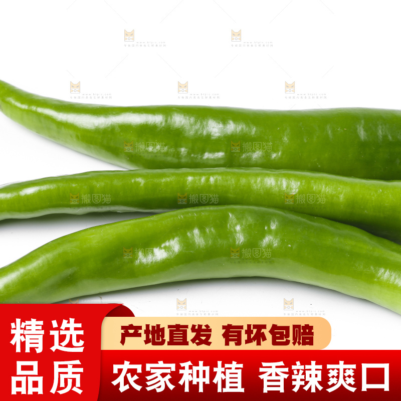 白底上放着新鲜青椒
