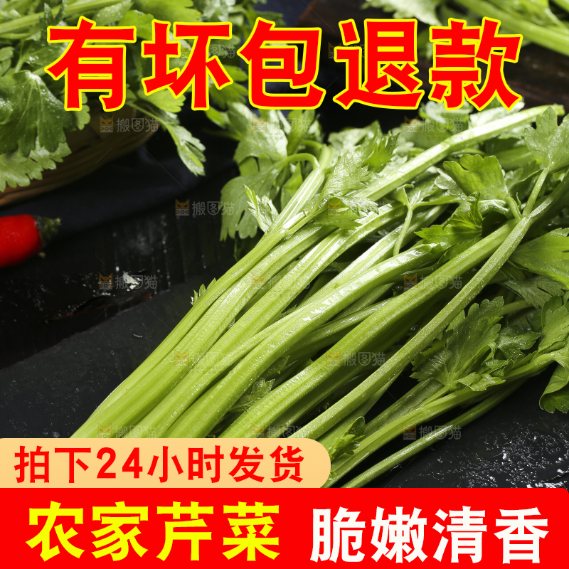 黑底上放着小芹菜