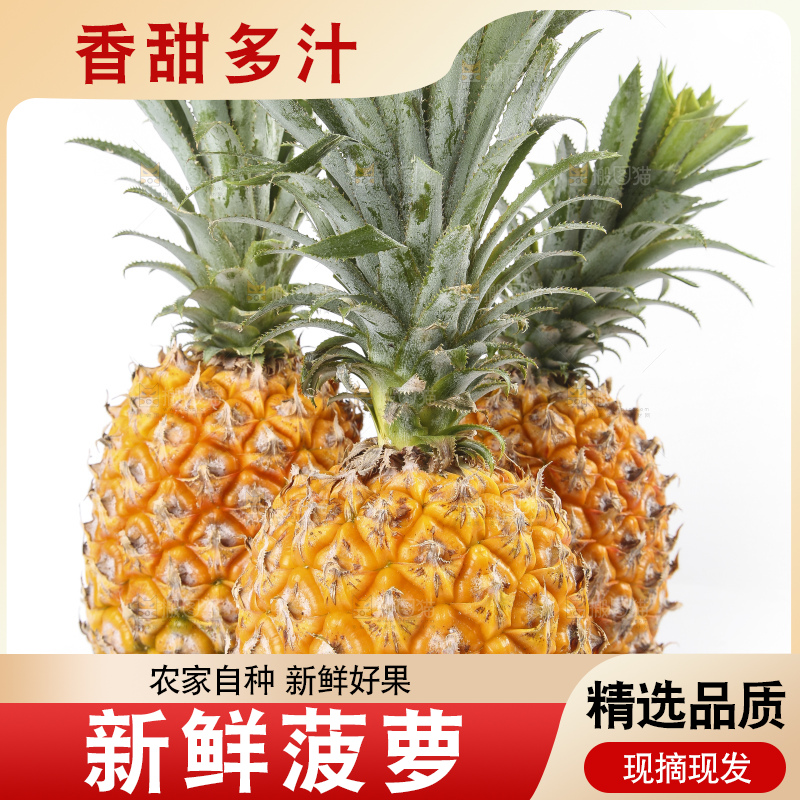 白底上的新鲜菠萝