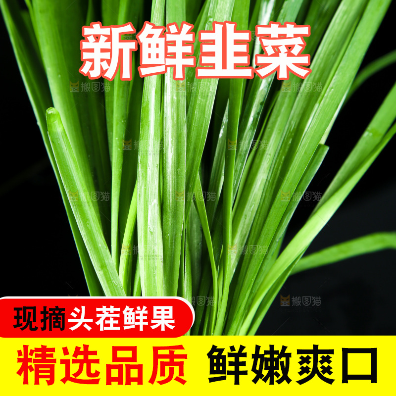 黑底上堆放着韭菜