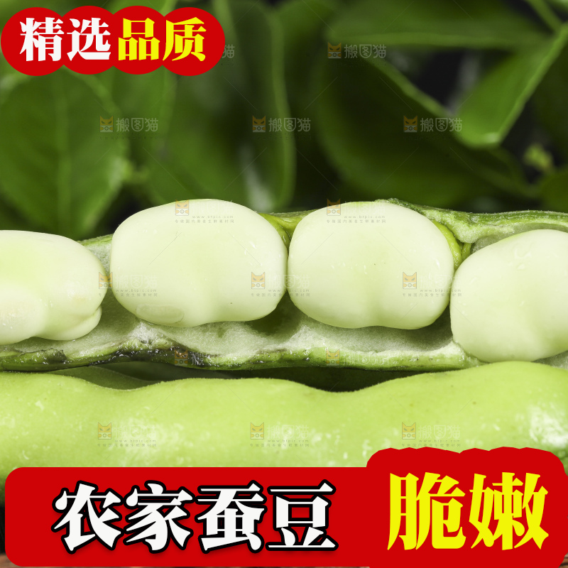 深底上放着新鲜兰花豆