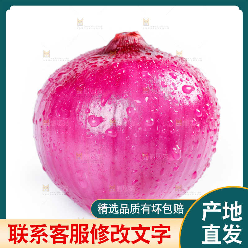 白底上摆放着新鲜洋葱