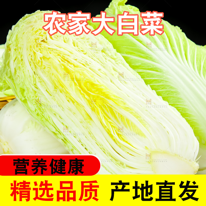 木底上放着大白菜