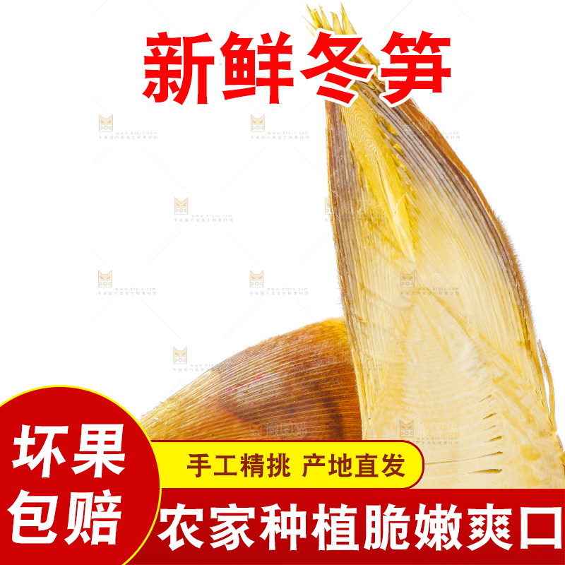 白底上摆放着冬笋