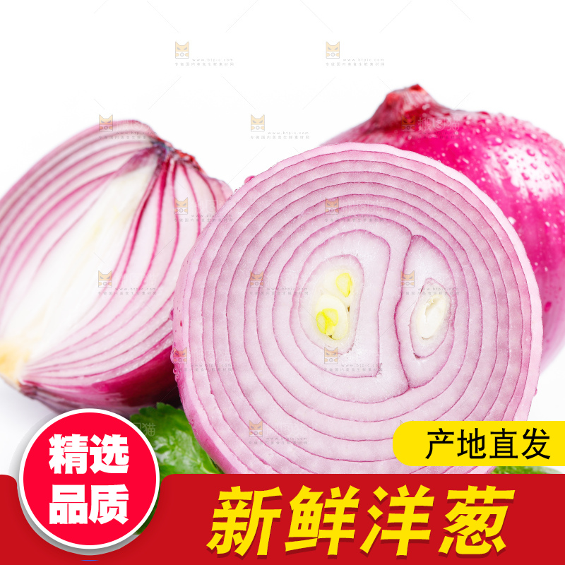 白底上摆放着新鲜洋葱
