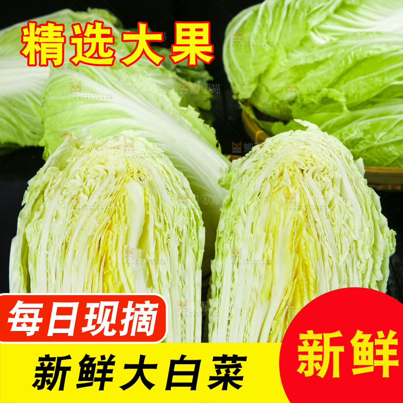 黑底上放着大白菜