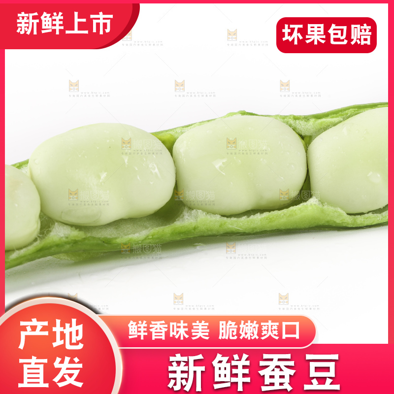 白底上放着剥壳的云南新鲜蚕豆