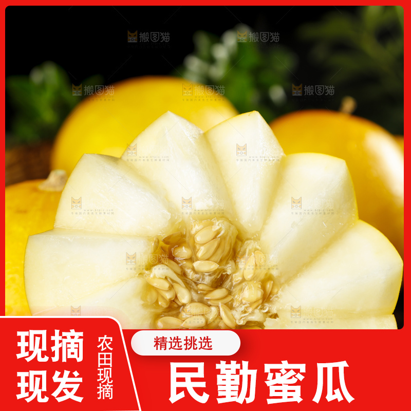 手拿切开的陕西黄河蜜瓜