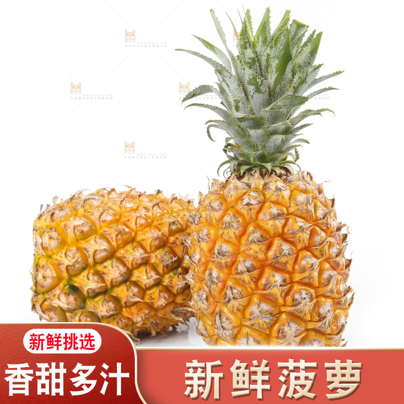 白底上的徐闻菠萝