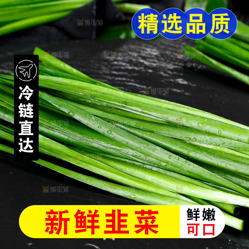黑石板上的韭菜