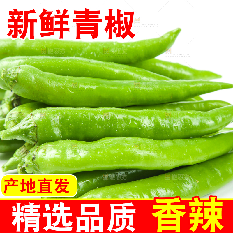 白底上放着杭椒