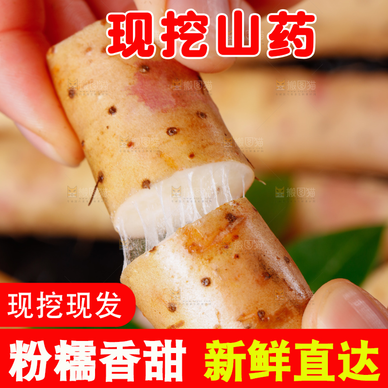 手里拿着小白嘴山药