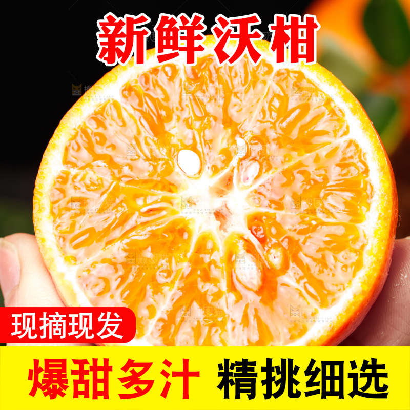 手里拿着新鲜沃柑