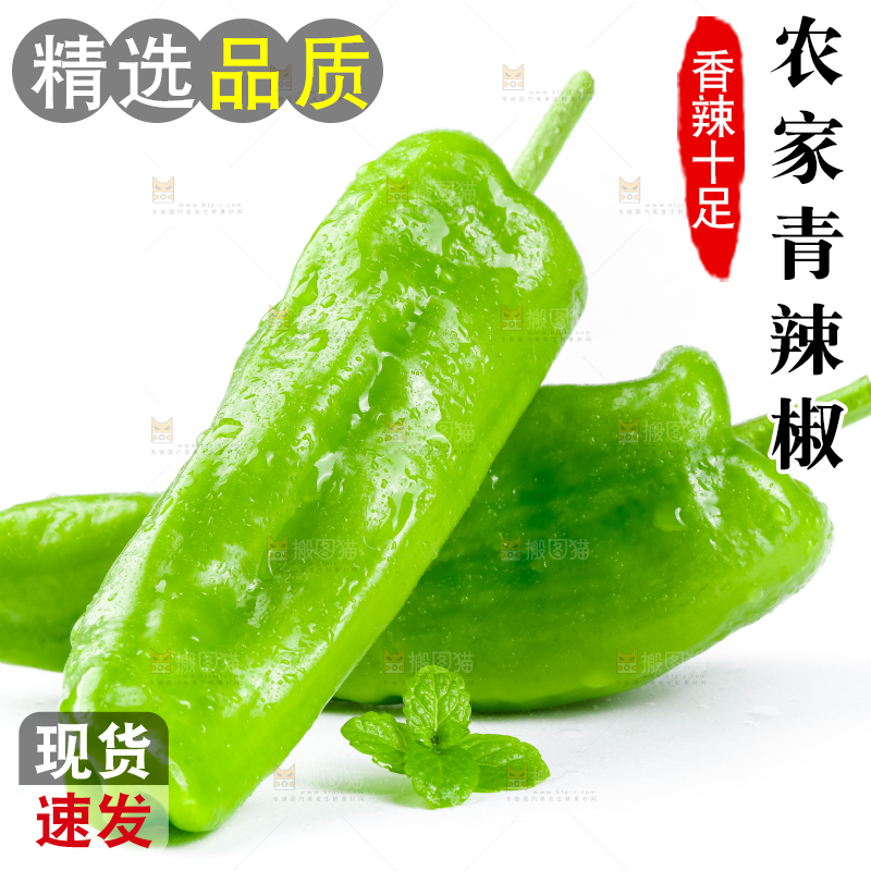 白底上放着青椒